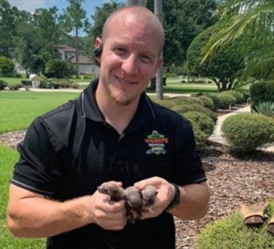 Alex Lauffenberger holding three raccoon kits