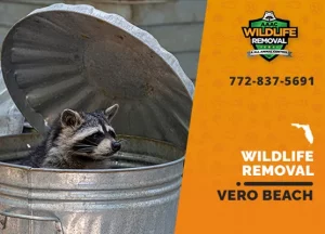 Vero Beach Wildlife Removal professional removing pest animal